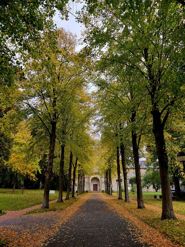 26.12.2025 WEIHNACHTS SPECIAL: Rund um das Kloster Gerleve auf den Spuren des heiligen Ludgerus, 48727 Billerbeck