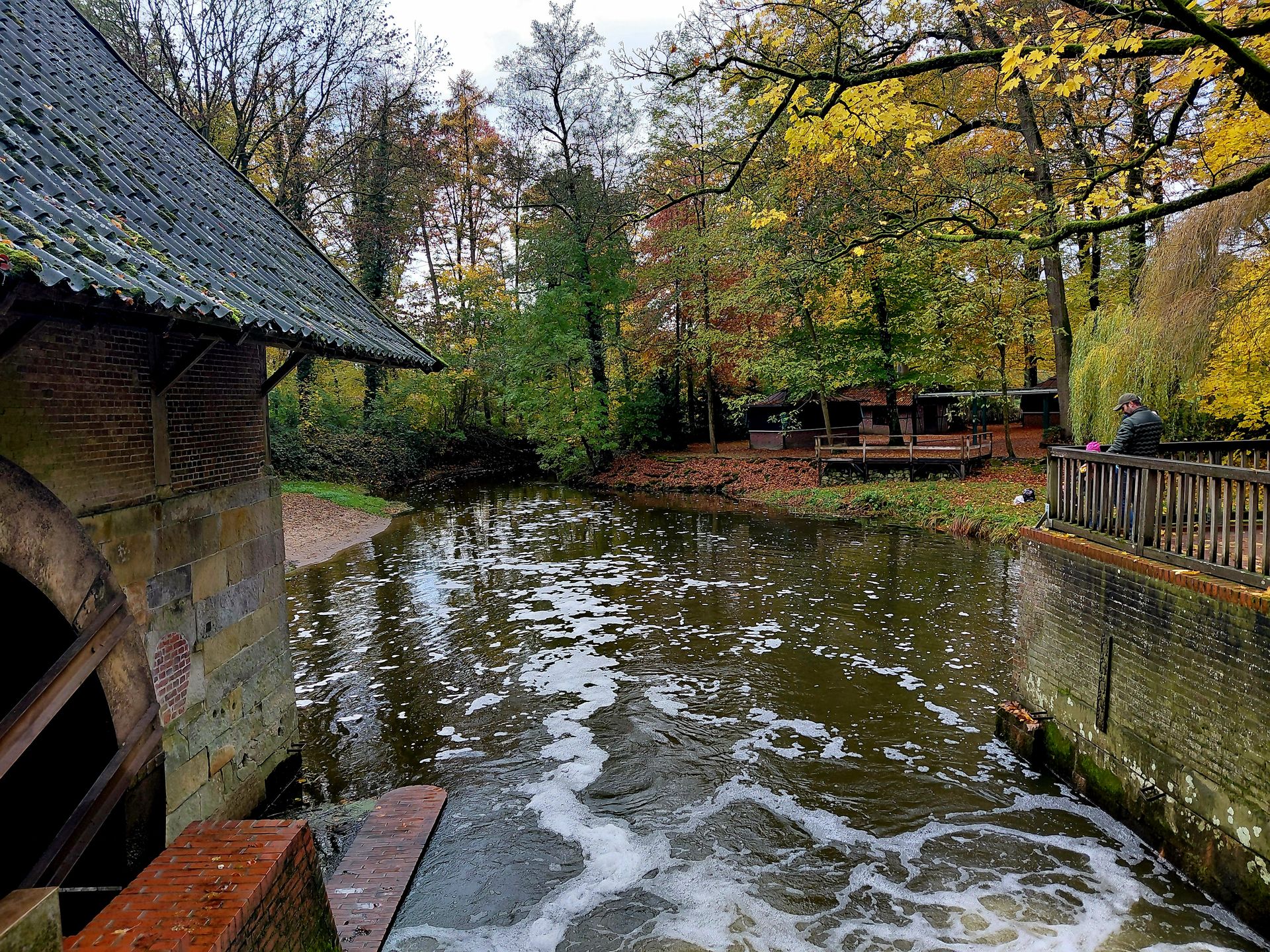 11.01.2026: Zwei Länder, ein Pfad: auf Entdeckungsreise im Moor bei Enschede, 48683 Ahaus