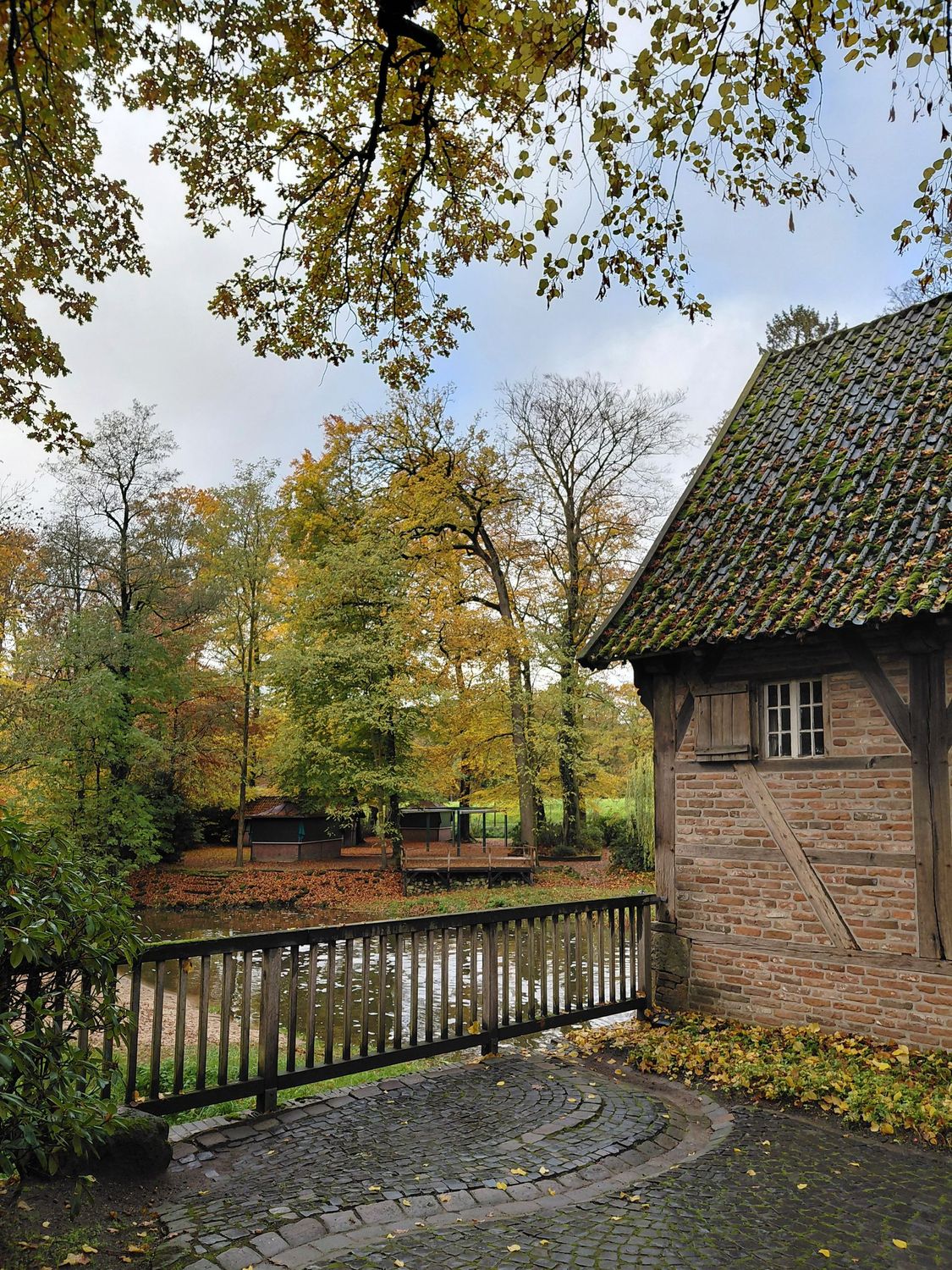 11.01.2026: Zwei Länder, ein Pfad: auf Entdeckungsreise im Moor bei Enschede, 48683 Ahaus
