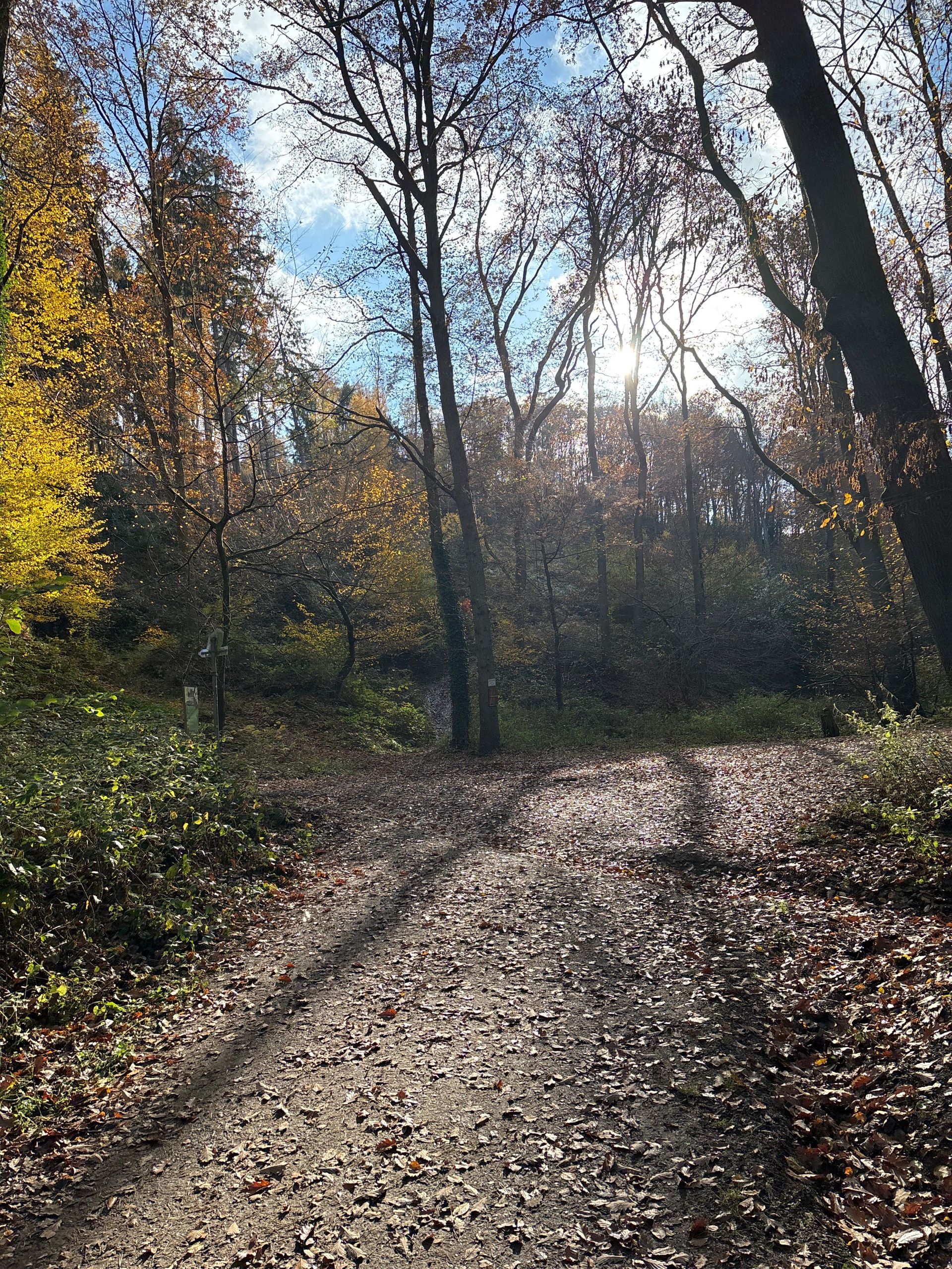 15.03.2026: Muttental-Erlebnistour - Natur, Geschichte und Flussmomente, 58452 Witten