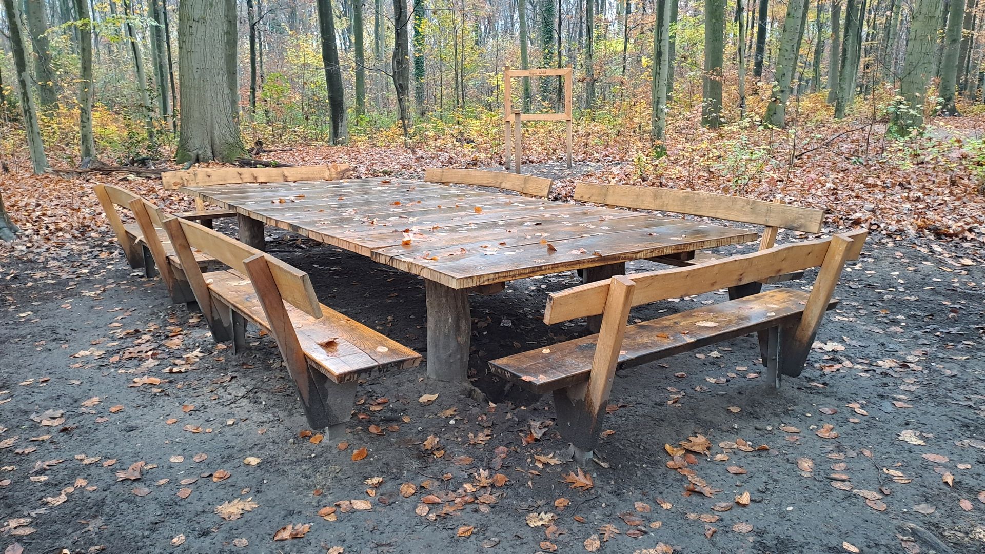 22.02.2026: Highlights am Düsseldorfer Grafenberg, 40629 Düsseldorf