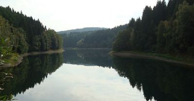 18.01.2026: Wasser und Wald, 51647 Gummersbach