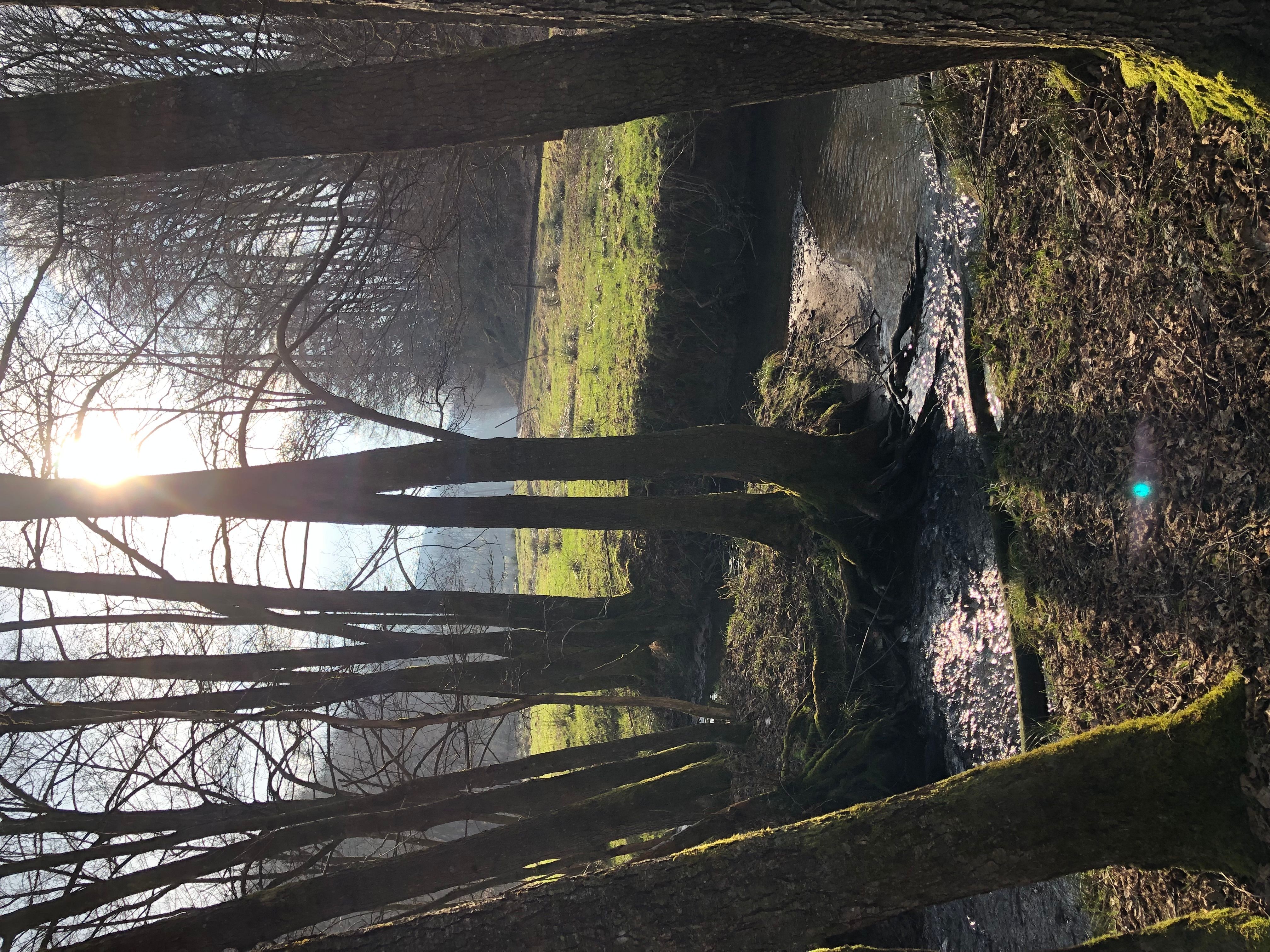 18.01.2026: Wasser und Wald, 51647 Gummersbach