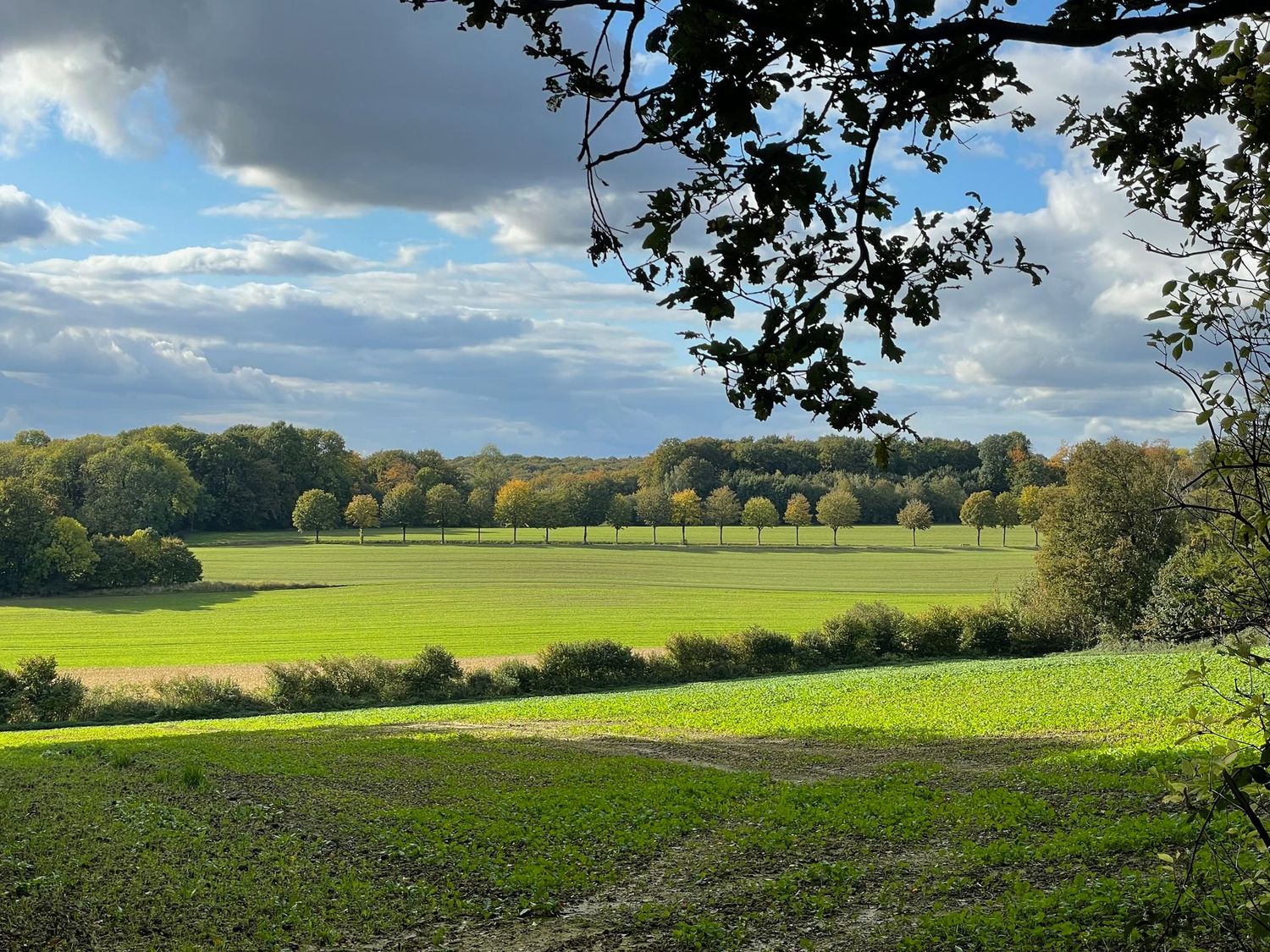 08.02.2026: Unterwegs in Teitekerlkens Land – den Baumbergen, 48329 Havixbeck