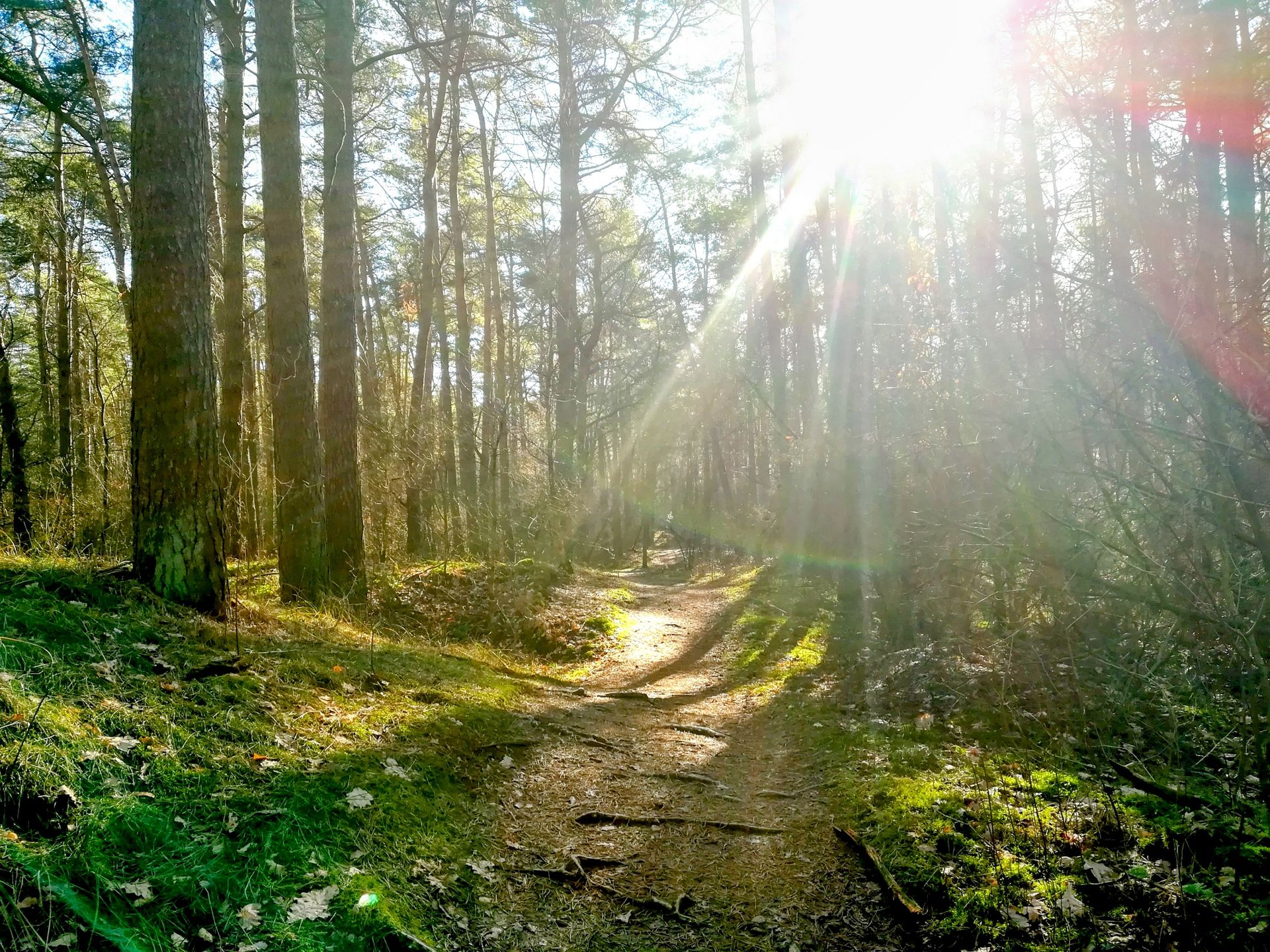 22.03.2026: Waldläufer – Walderlebnistour Haard, 45721 Haltern am See