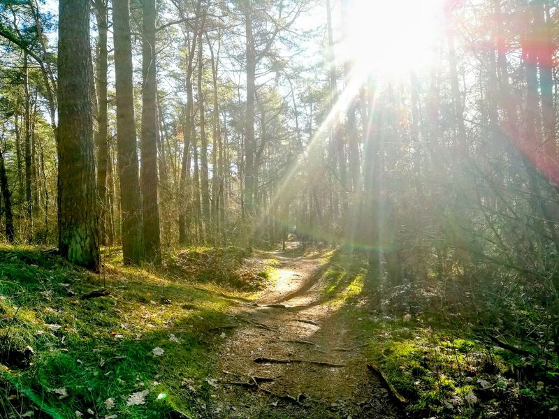 22.03.2026: Waldläufer – Walderlebnistour Haard, 45721 Haltern am See