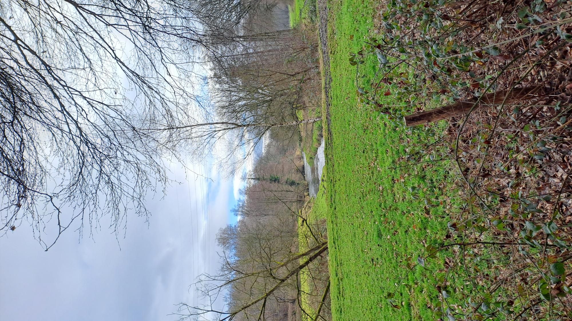 11.07.2026: Durchs Wurmtal und auf die Burg Wilhelmstein bei Herzogenrath, 52070 Aachen