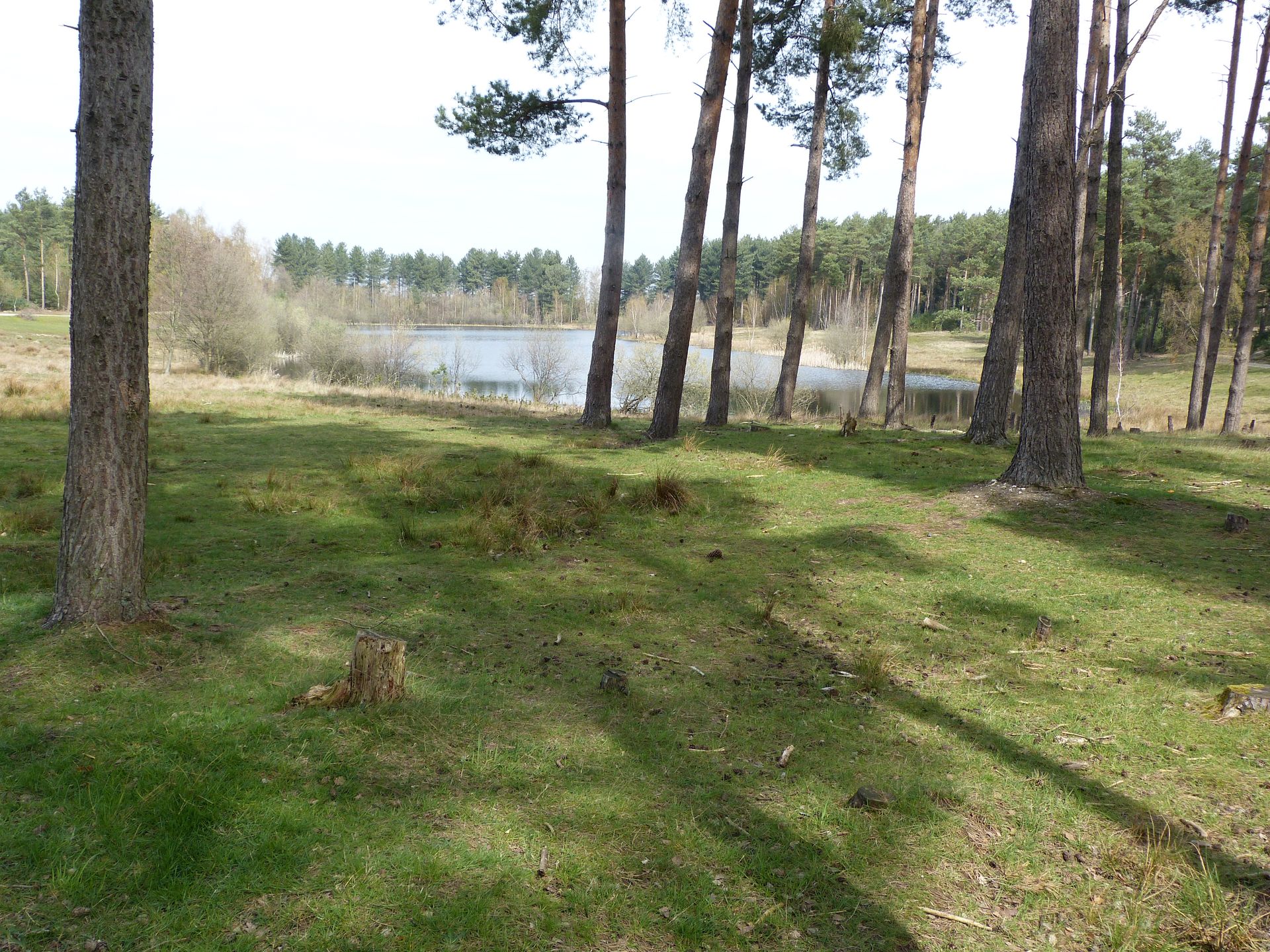 03.04.2026: Großer Rundweg durch die Teverener Heide, 52511 Geilenkirchen