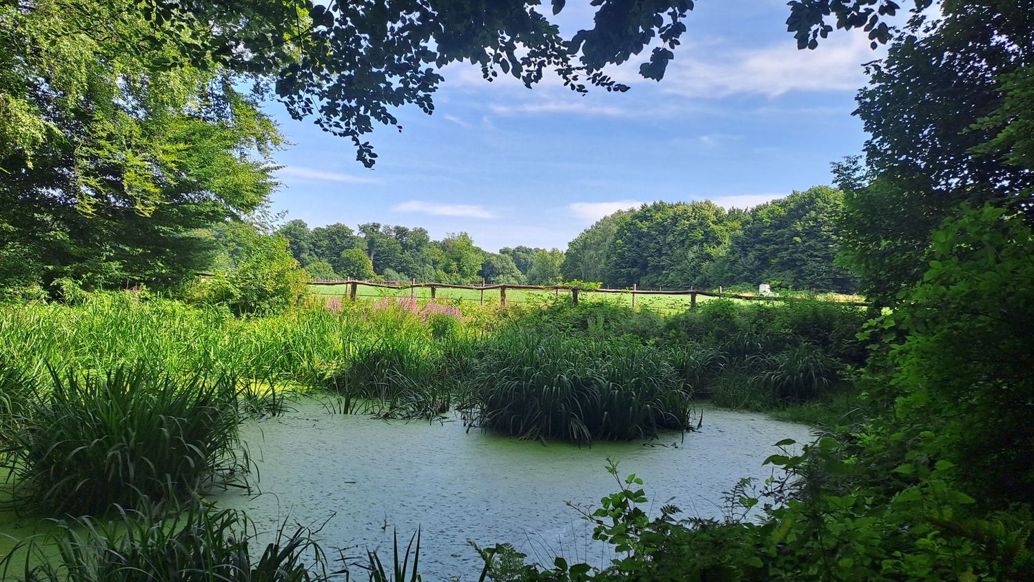 04.06.2026: "SINGLES MIT KIND" SPECIAL: Zum Wildpark und anderen Highlights am Düsseldorfer Grafenberg (mit Kindern ab 7 Jahren), 40629 Düsseldorf