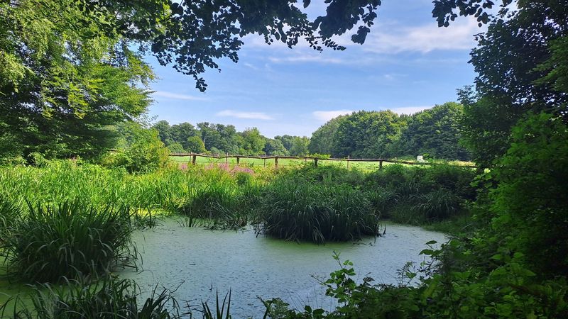 04.06.2026: "SINGLES MIT KIND" SPECIAL: Zum Wildpark und anderen Highlights am Düsseldorfer Grafenberg (mit Kindern ab 7 Jahren), 40629 Düsseldorf