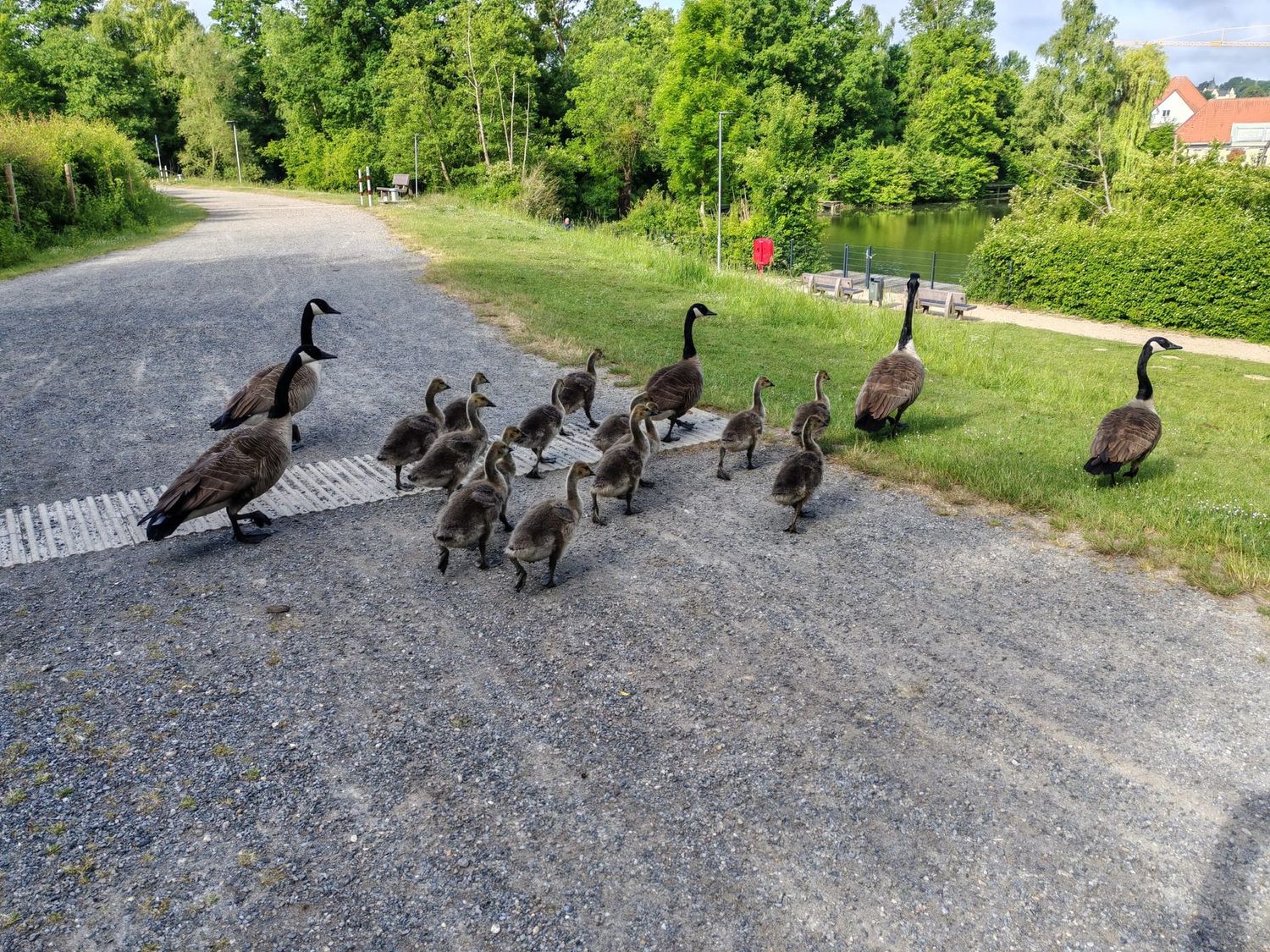 17.05.2026: Durch das Broichbachtal zum Tierpark Alsdorf, 52477 Alsdorf