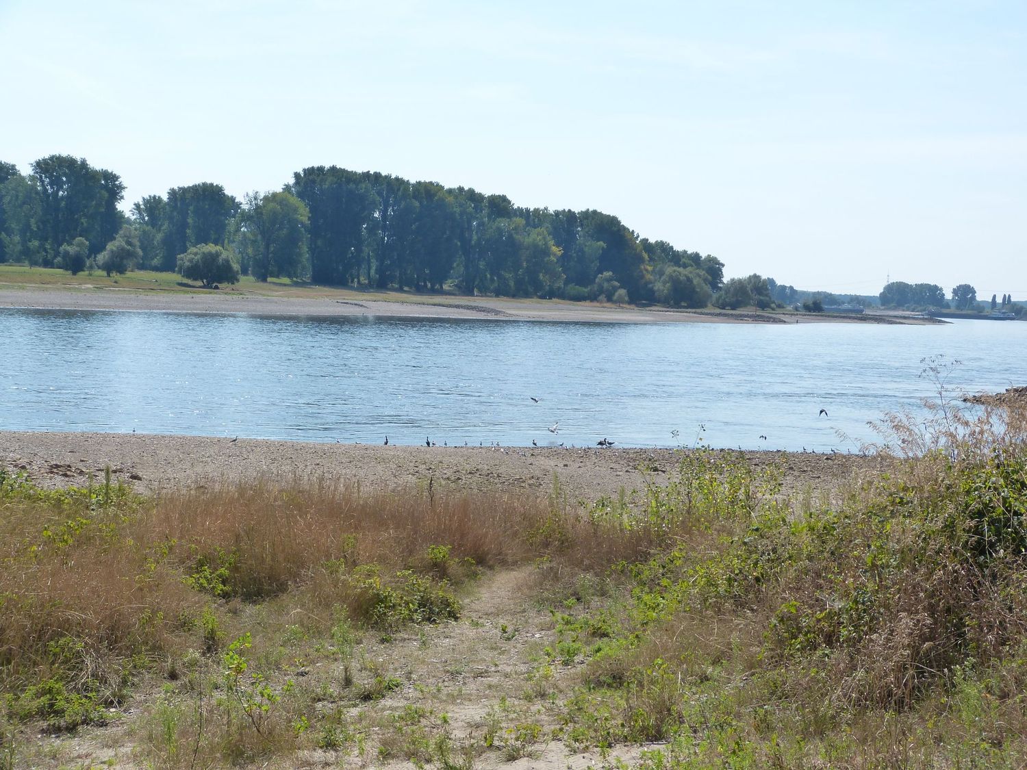 28.03.2026: Einzigartige Auenlandschaften in der Urdenbacher Kämpe, 40593 Düsseldorf