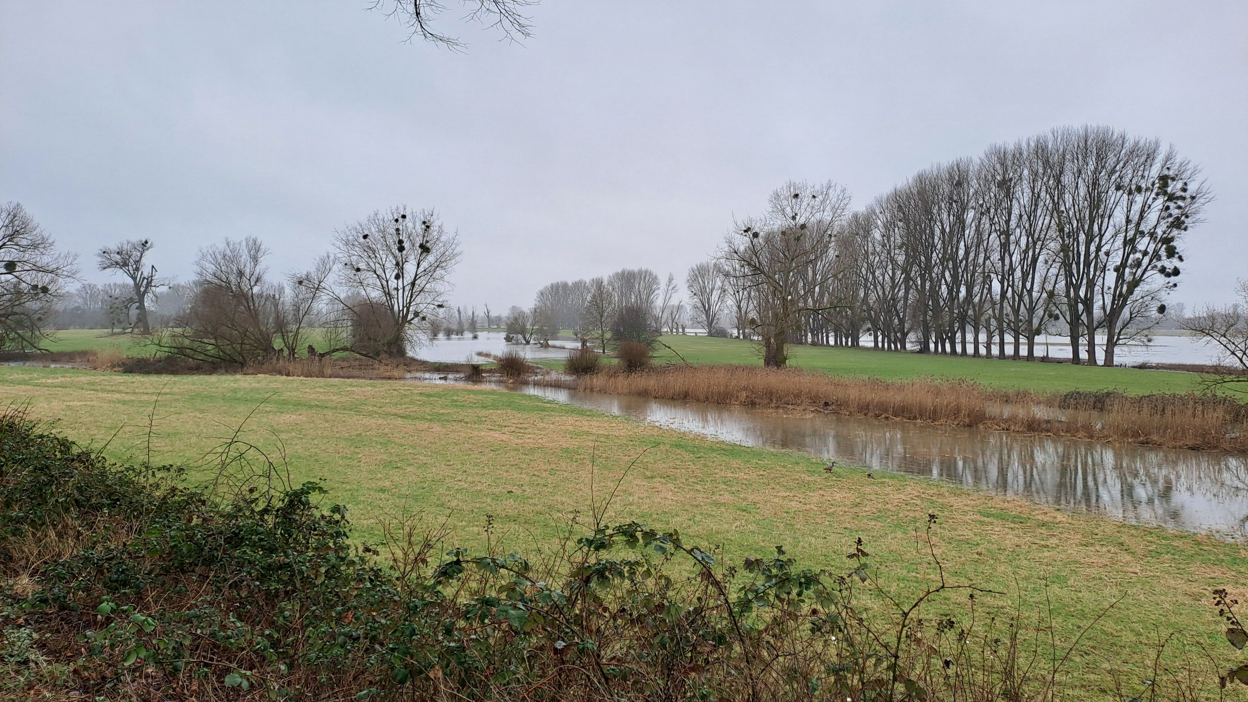 28.03.2026: Einzigartige Auenlandschaften in der Urdenbacher Kämpe, 40593 Düsseldorf (mit dem WDR)