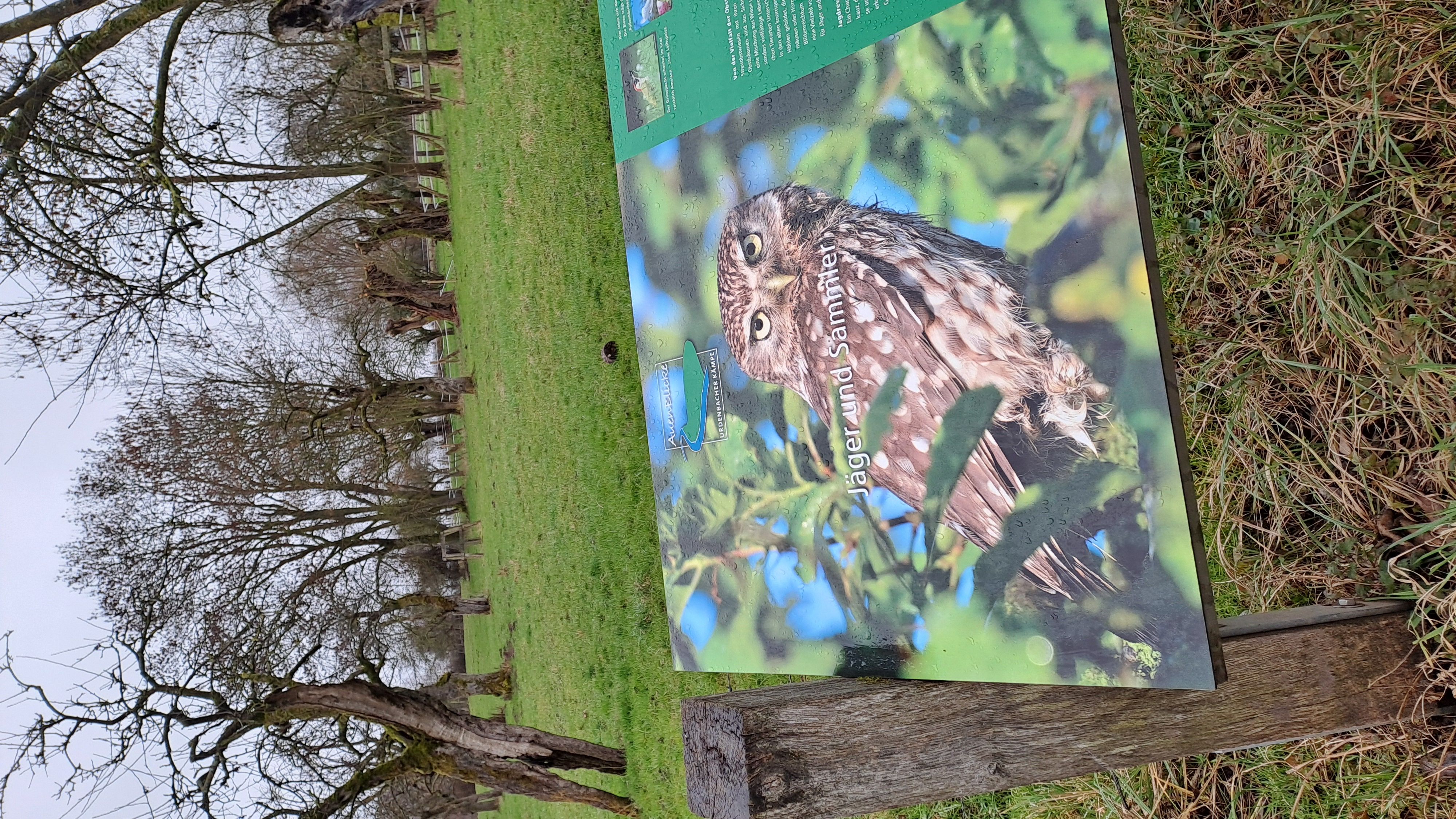28.03.2026: Einzigartige Auenlandschaften in der Urdenbacher Kämpe, 40593 Düsseldorf (mit dem WDR)
