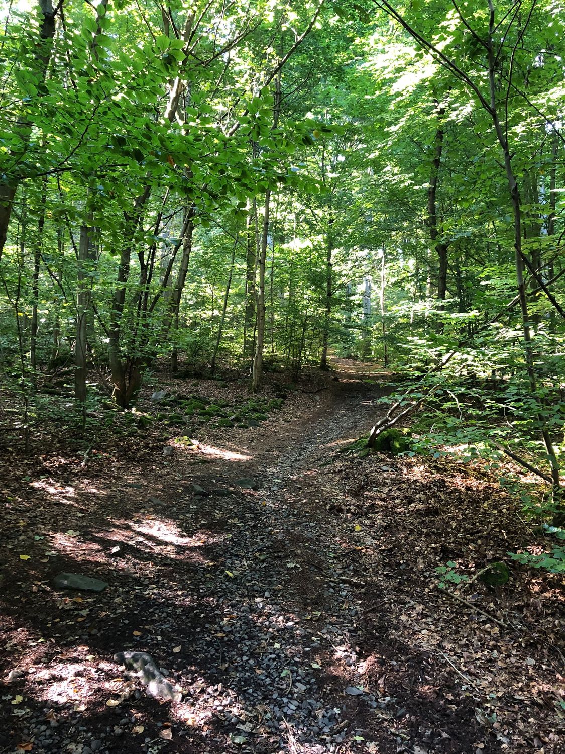 08.02.2026: Winterwanderung, 51766 Engelskirchen-Ründeroth