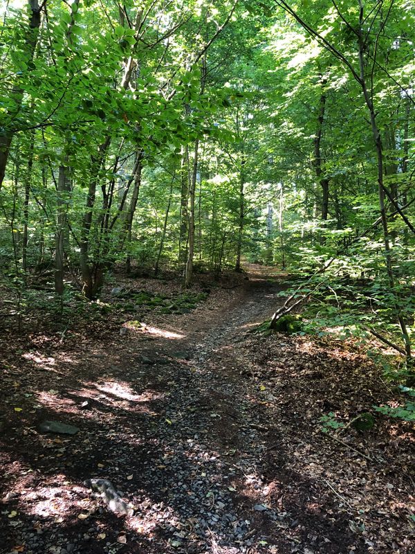 08.02.2026: Winterwanderung, 51766 Engelskirchen-Ründeroth