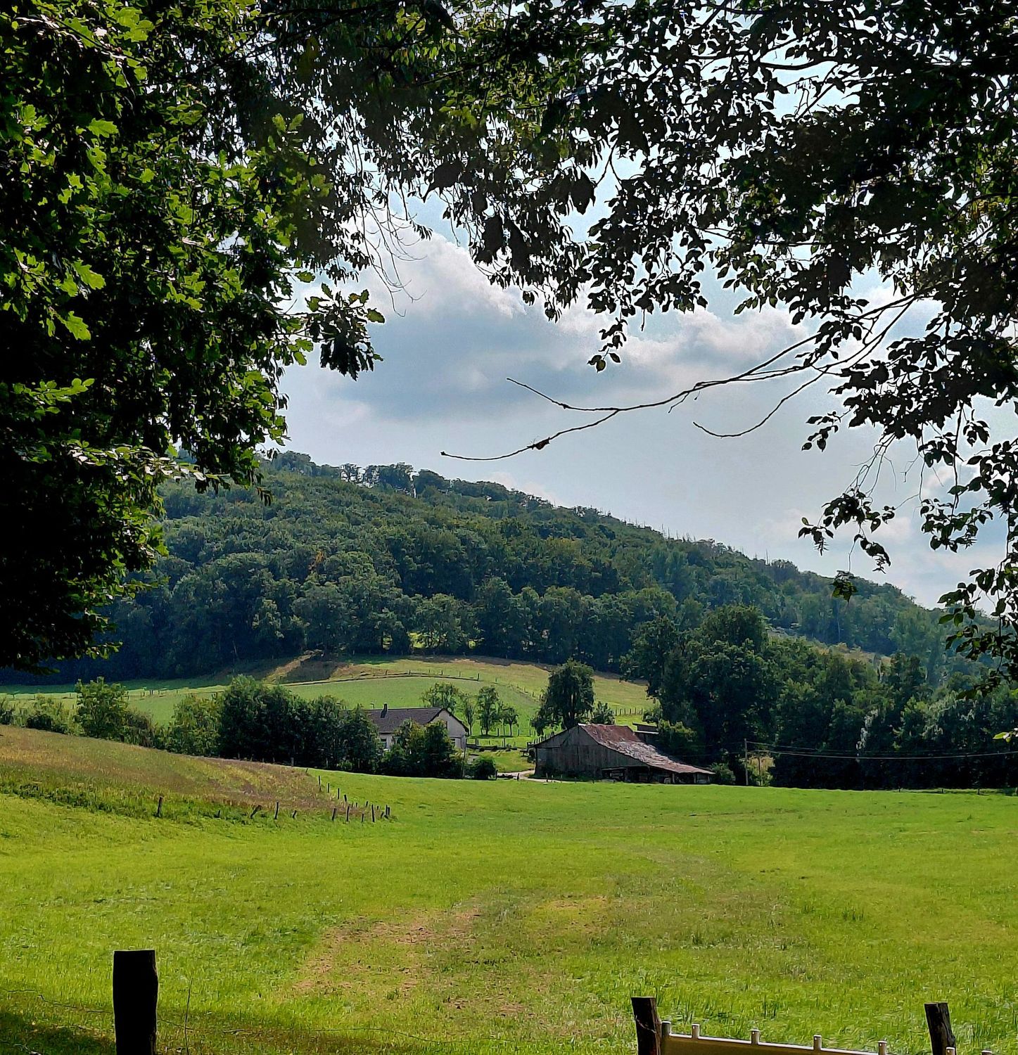 07.02.2026: Nordhelle mit Sauerländer Höhenflug, 58540 Meinerzhagen