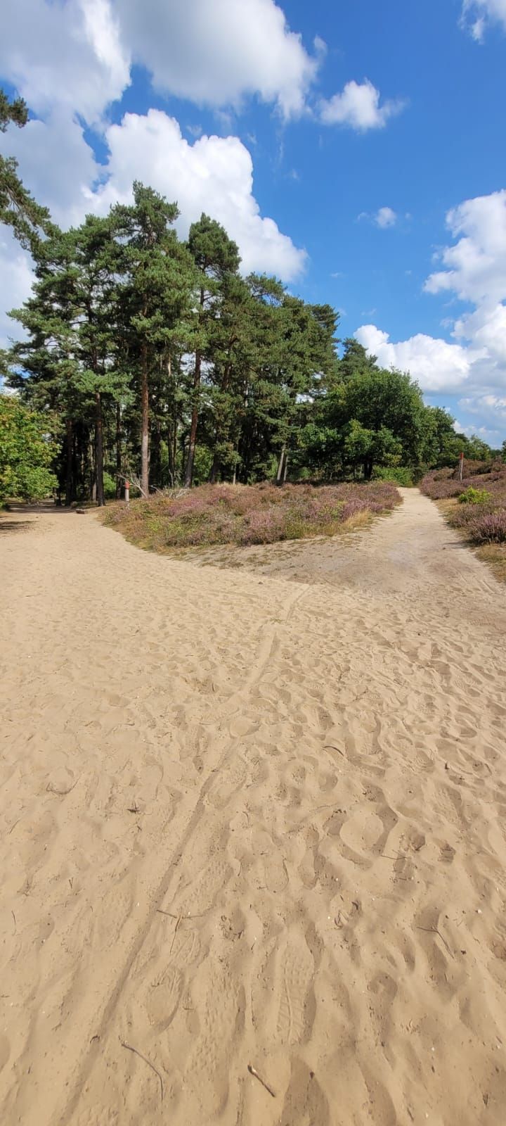 12.04.2026: Wahner Heide – Telegraphenberg-Tour, 53842 Troisdorf