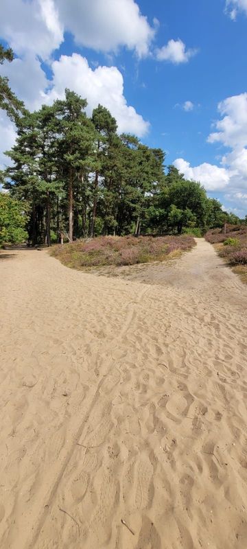 12.04.2026: Wahner Heide – Telegraphenberg-Tour, 53842 Troisdorf