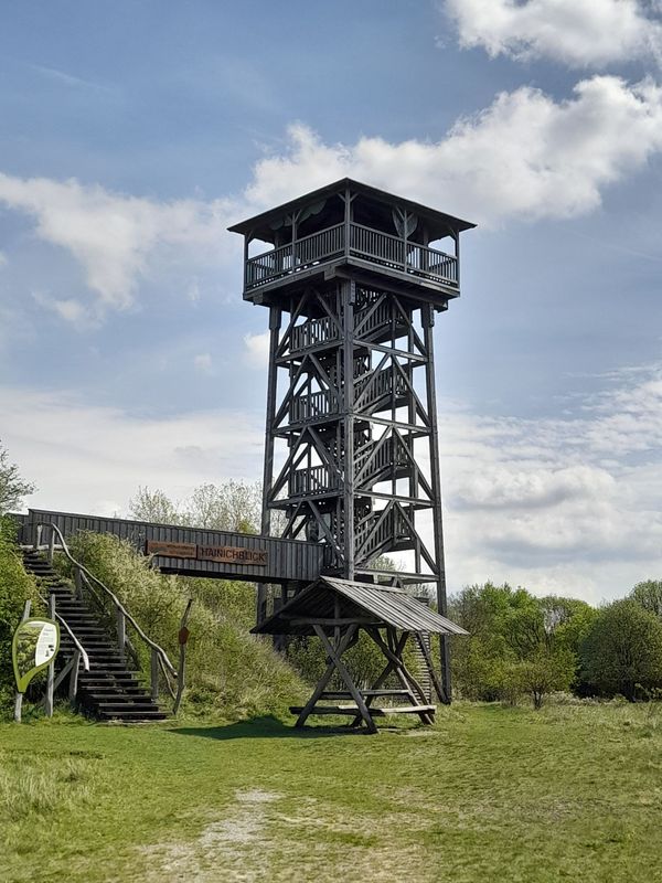 31.01.2026: Wildkatzenpfad, 99820 Hörselberg-Hainich