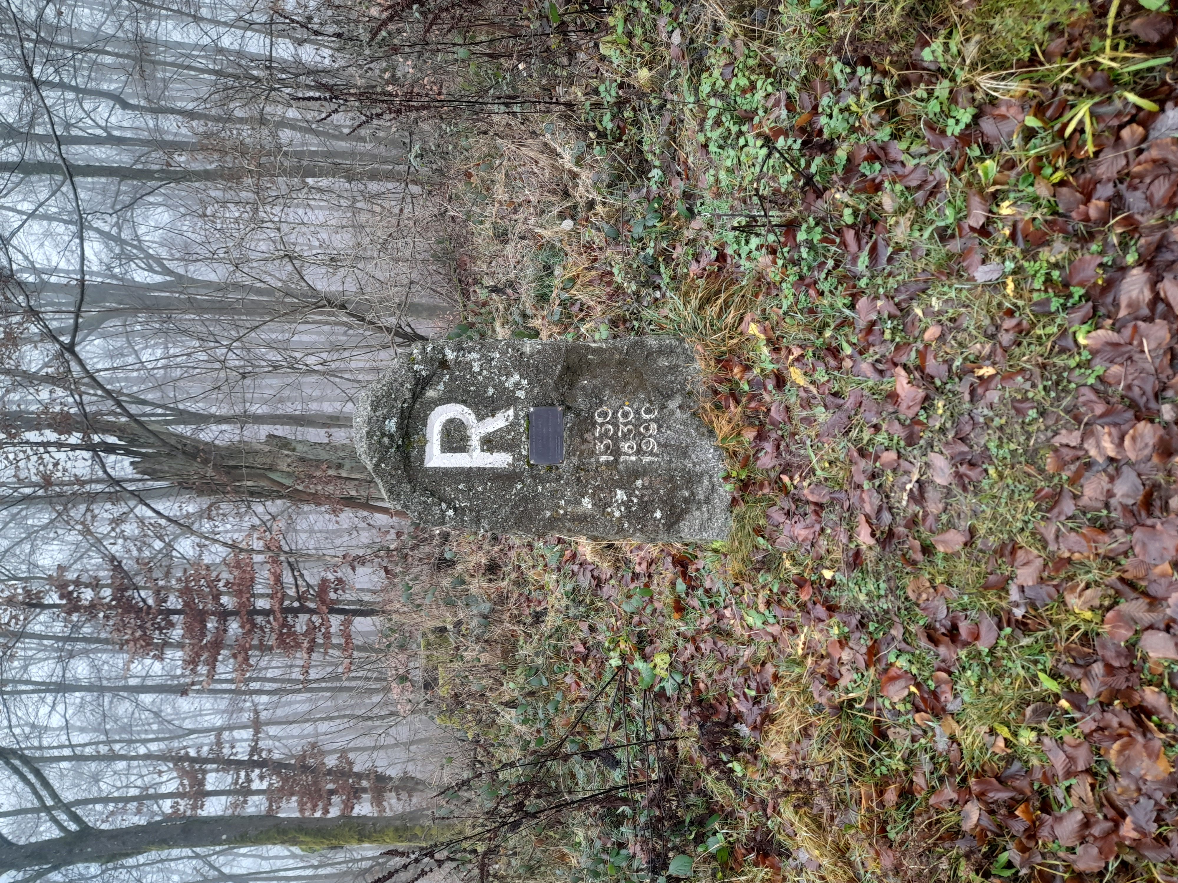 28.03.2026: Drachenschlucht-Wilde Sau-Wartburg, 99817 Eisenach