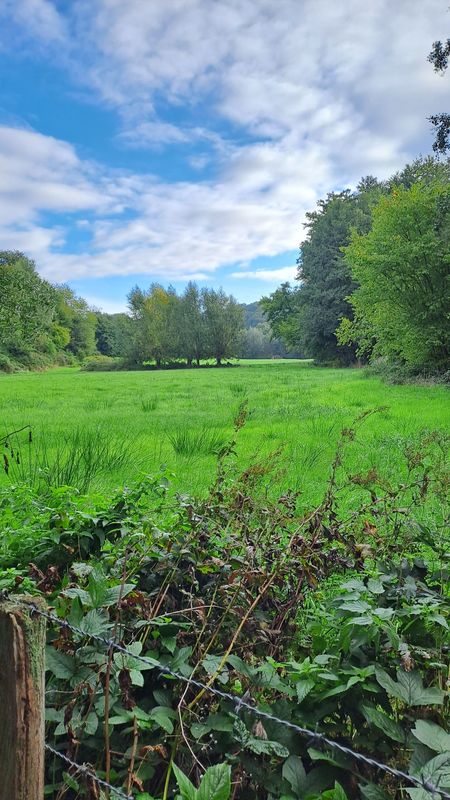 25.05.2026: Entdeckerschleife Denkmalroute Alt-Erkrath, 40699 Erkrath