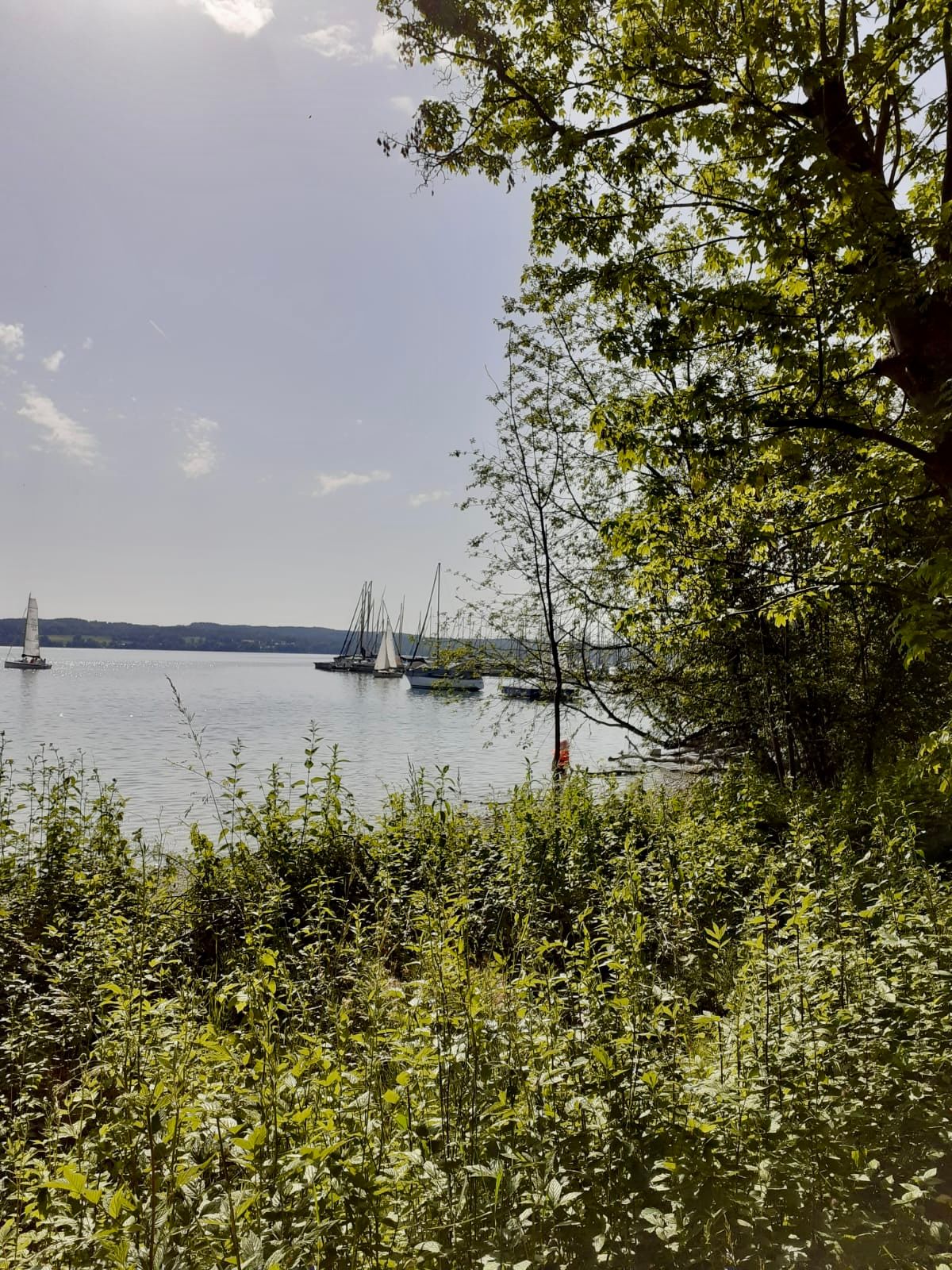 01.03.2026: Romantische Winterwanderung Schloss Höhenried, 82327 Tutzing (Starnberger See)