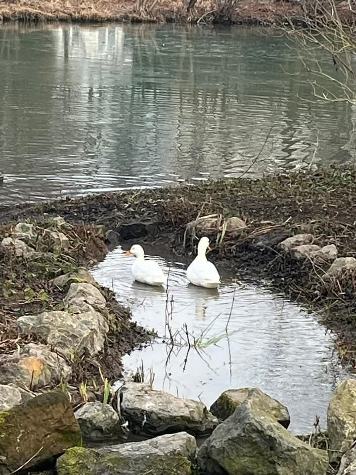 08.03.2026: Maisinger Schlucht Rundweg, Naturerlebnis zwischen Starnberg und Pöcking, 82319 Starnberg