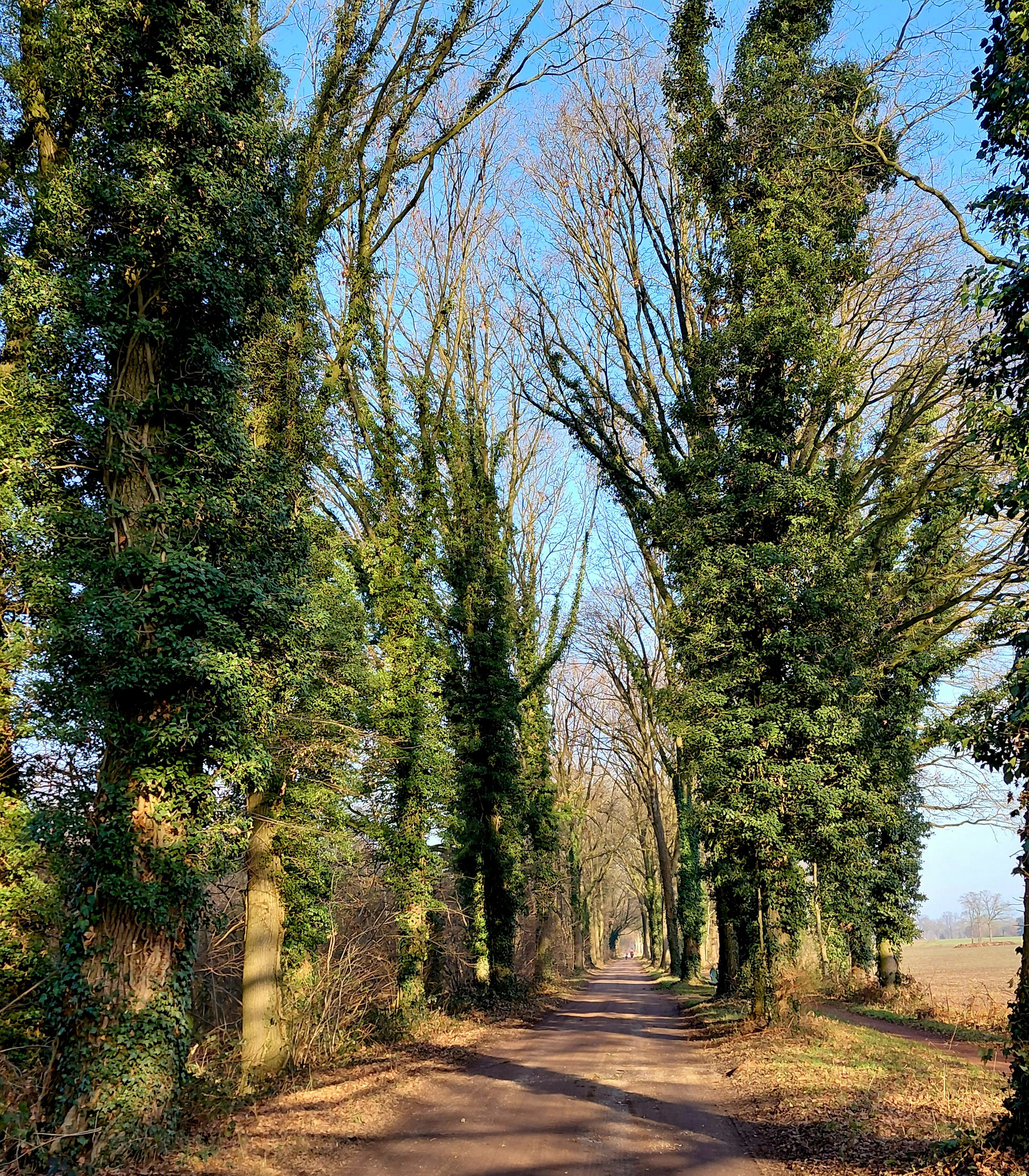 18.04.2026: Besuch in der Nachbarschaft: Wanderung in der Region Achterhoek NL-7108 AJ Woold, bei Winterswyk