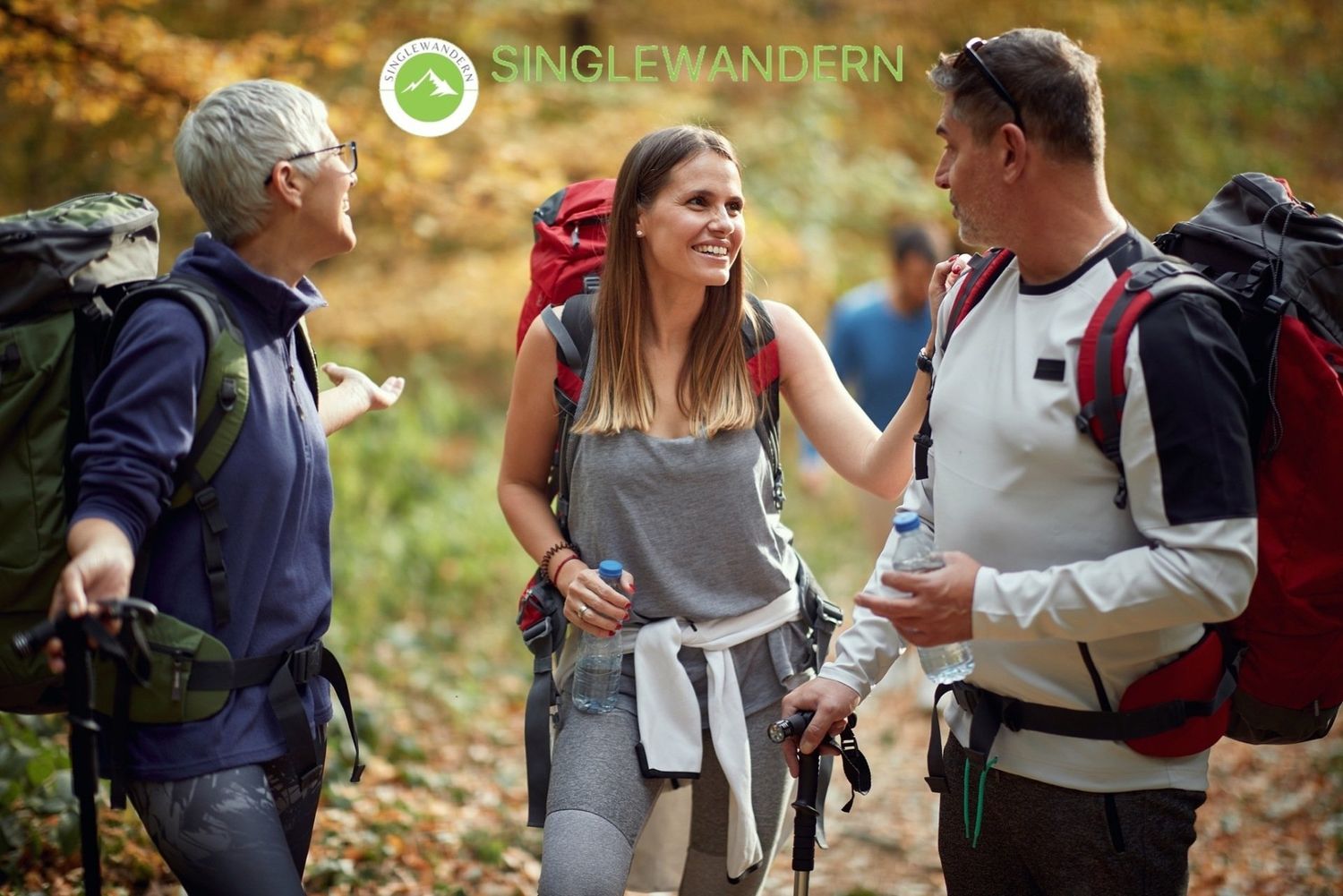 25.05.2026: Wanderung in der Haard - an der Grenze in Oer-Erkenschwick - zwischen Wald, Grenze und Natur pur, 45739 Oer-Erkenschwick