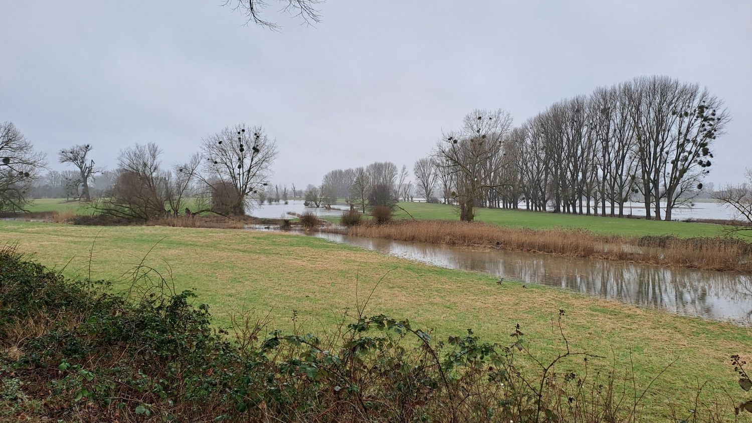 03.10.2026: Einzigartige Auenlandschaften in der Urdenbacher Kämpe, 40593 Düsseldorf