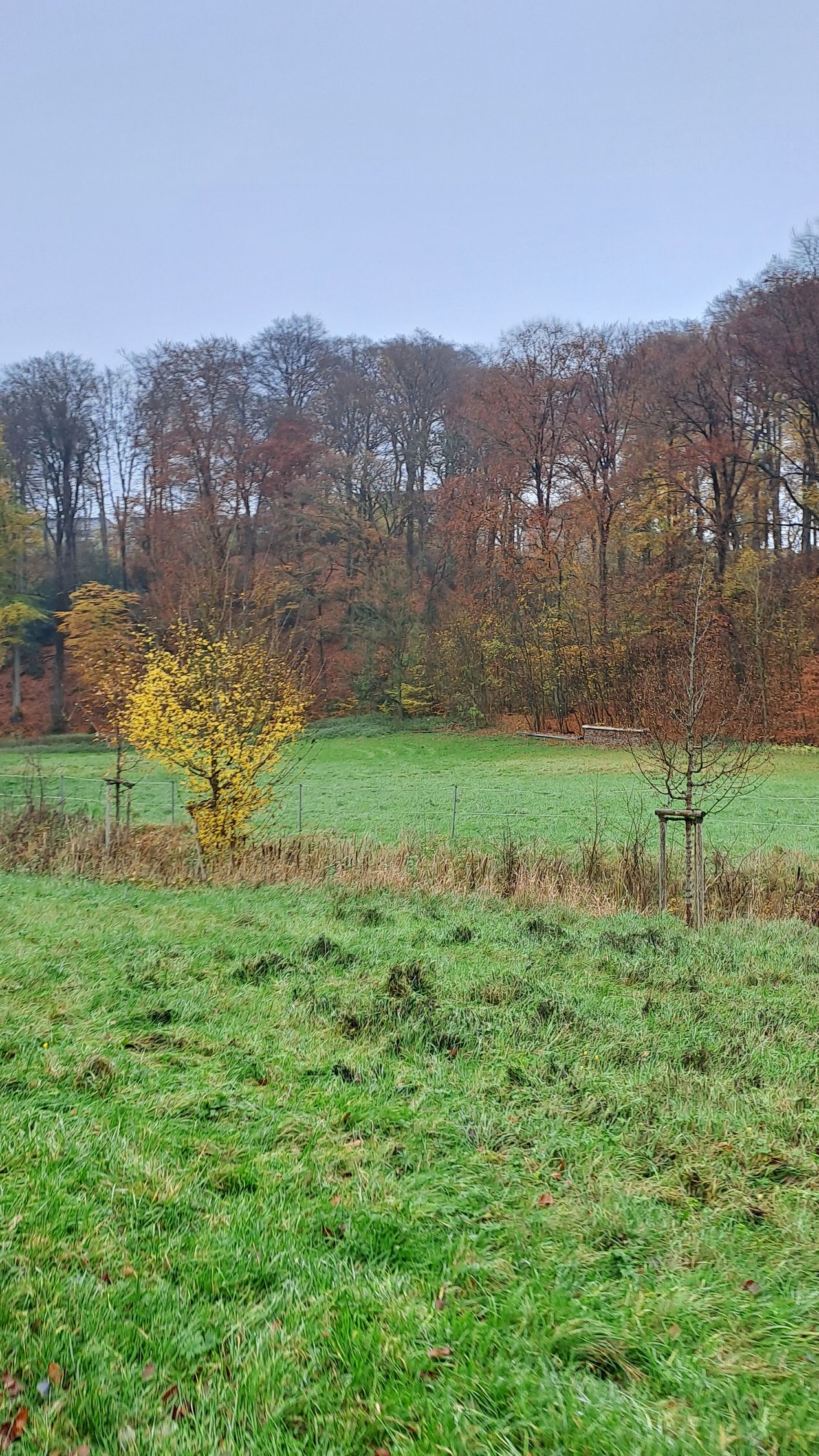 08.05.2026: AFTER WORK SPECIAL: Tour im Rotthäuser Bachtal, 40625 Düsseldorf