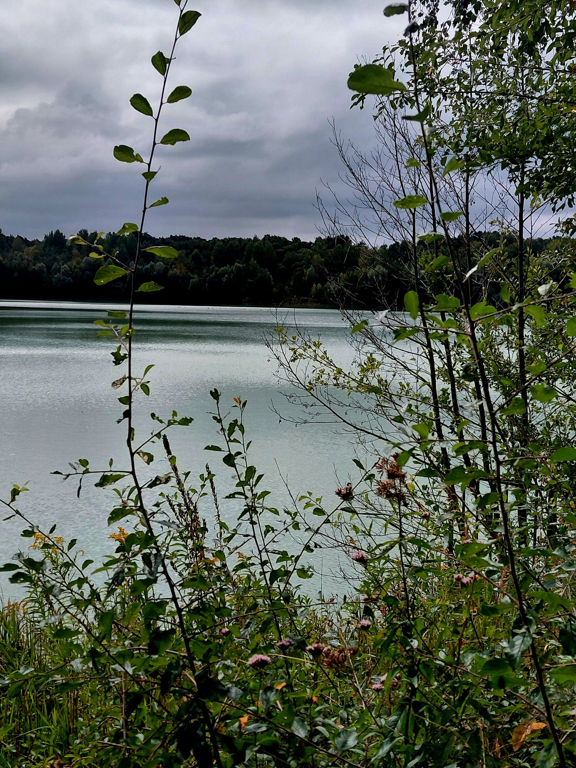 06.04.2026: Wanderung im Silberseengebiet, 45721 Haltern am See