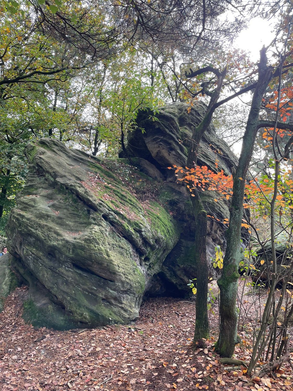 04.04.2026: Hockendes Weib und faszinierende Felsen – die Dörenther Klippen, 49545 Tecklenburg