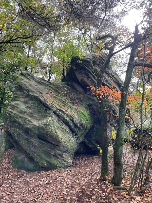 04.04.2026: Hockendes Weib und faszinierende Felsen – die Dörenther Klippen, 49545 Tecklenburg