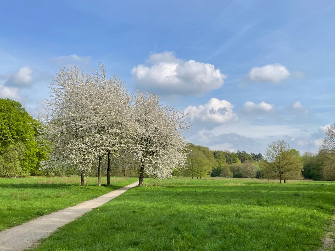 19.04.2026: NEU Stadt, Land, Fluß bei Telgte - jenseits bekannter Pfade, 48291 Telgte
