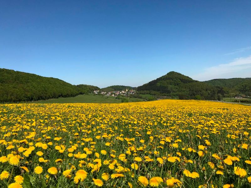 23.05.2026: „Die Herrn des Ringes“ – Im Reich der Raubritter, 34431 Marsberg-Padberg