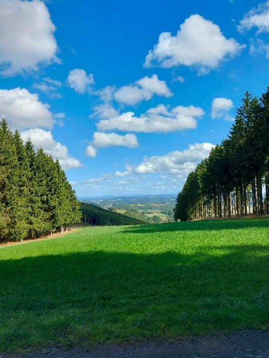 08.08.2026: „In der Hochheide“ – Kahle Pön, 34508 Willingen-Usseln