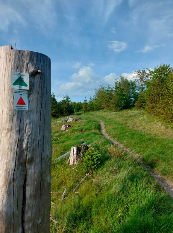 19.12.2026: „Auf dem Kammweg“, 34508 Willingen-Schwalefeld