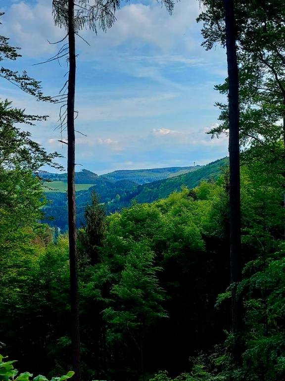 19.12.2026: „Auf dem Kammweg“, 34508 Willingen-Schwalefeld