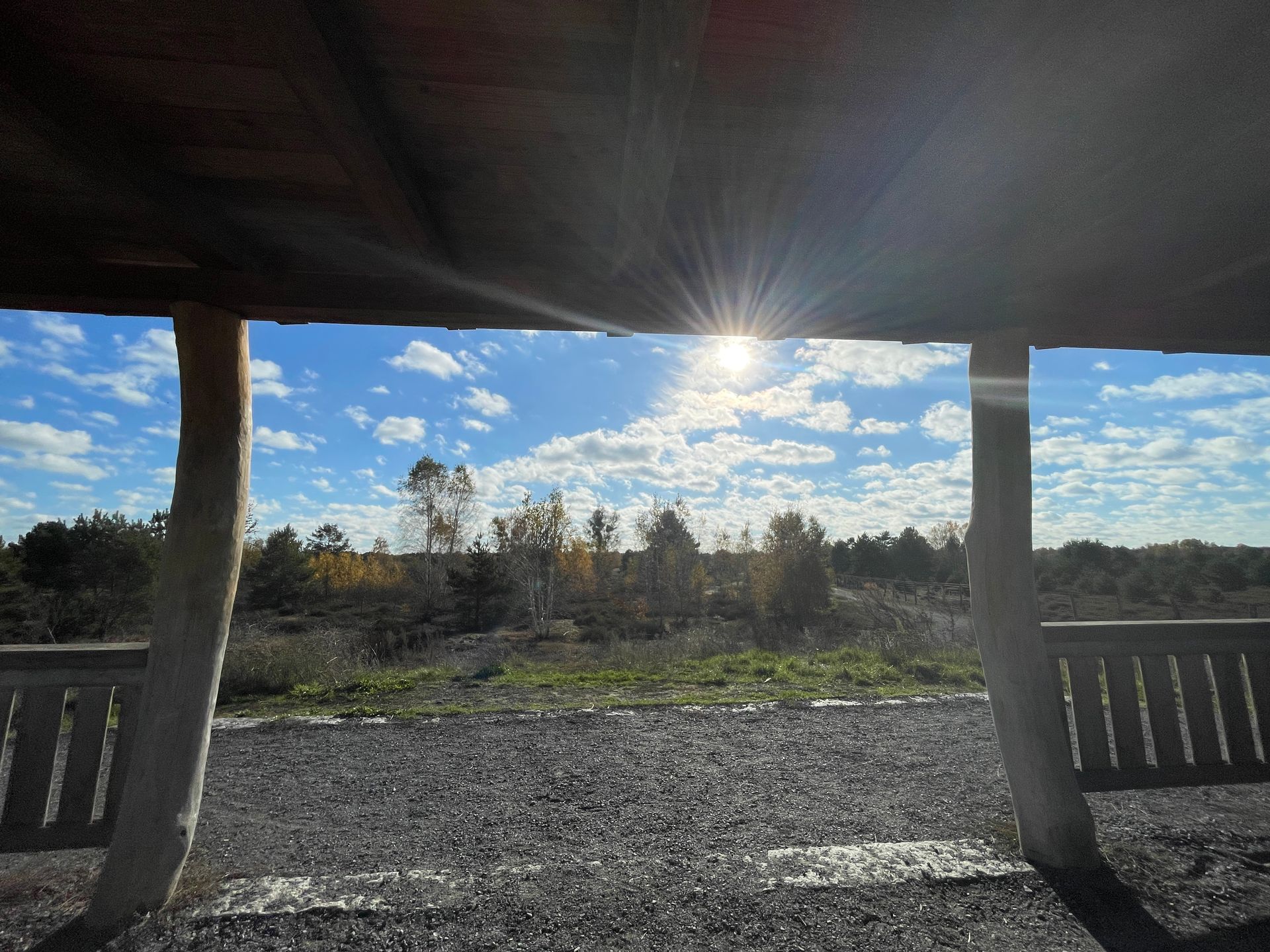 16.08.2026: Wanderung Schönower Heide + Gorinsee, 16321 Bernau bei Berlin