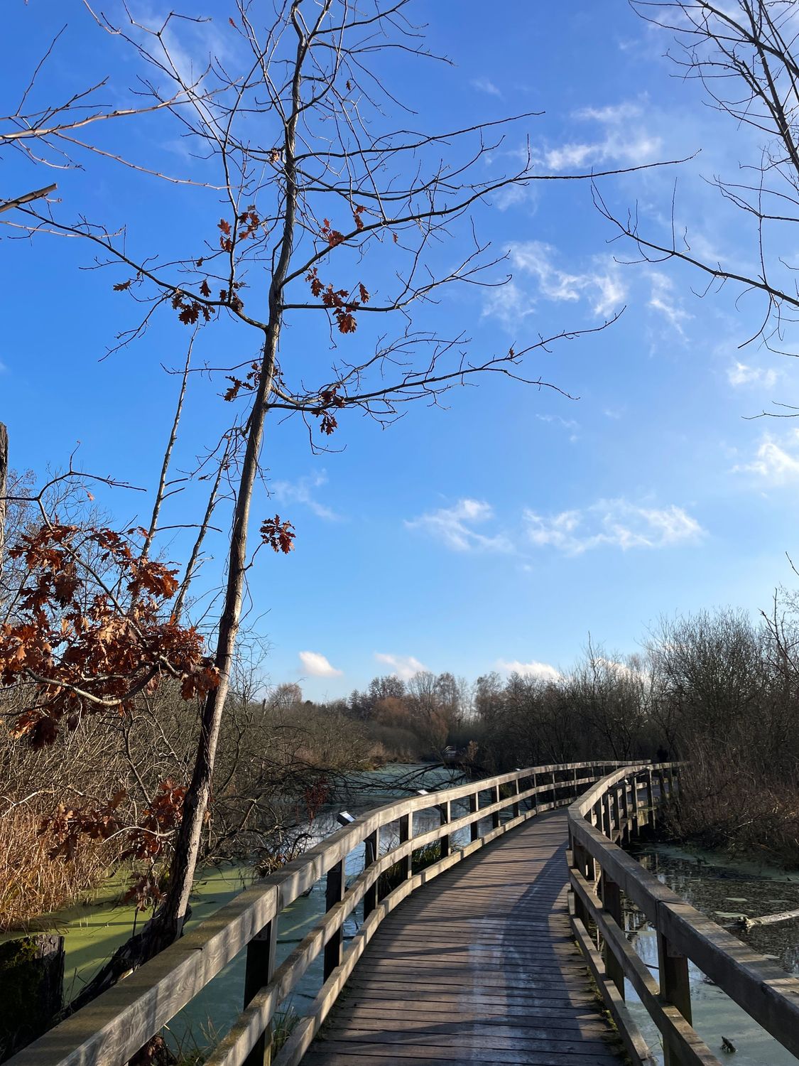 18.10.2026: Wanderung um die Eichwerder Moorwiesen, 16548 Glienicke/Nordbahn