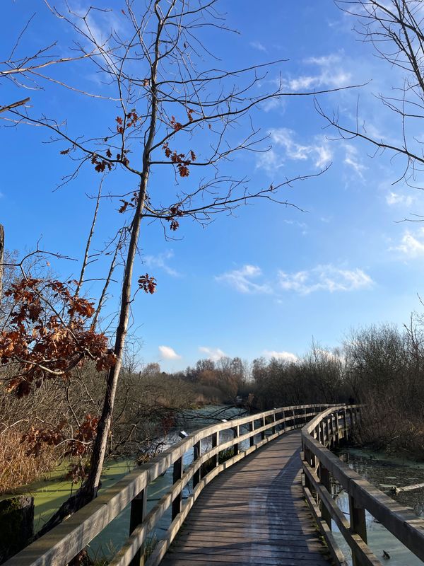 18.10.2026: Wanderung um die Eichwerder Moorwiesen, 16548 Glienicke/Nordbahn