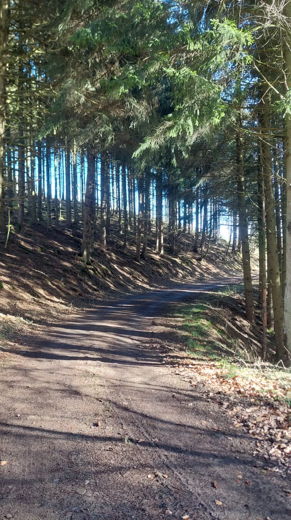 02.05.2026: Schmiedeweg Cobbenrode mit Seelenplatz, 59889 Eslohe