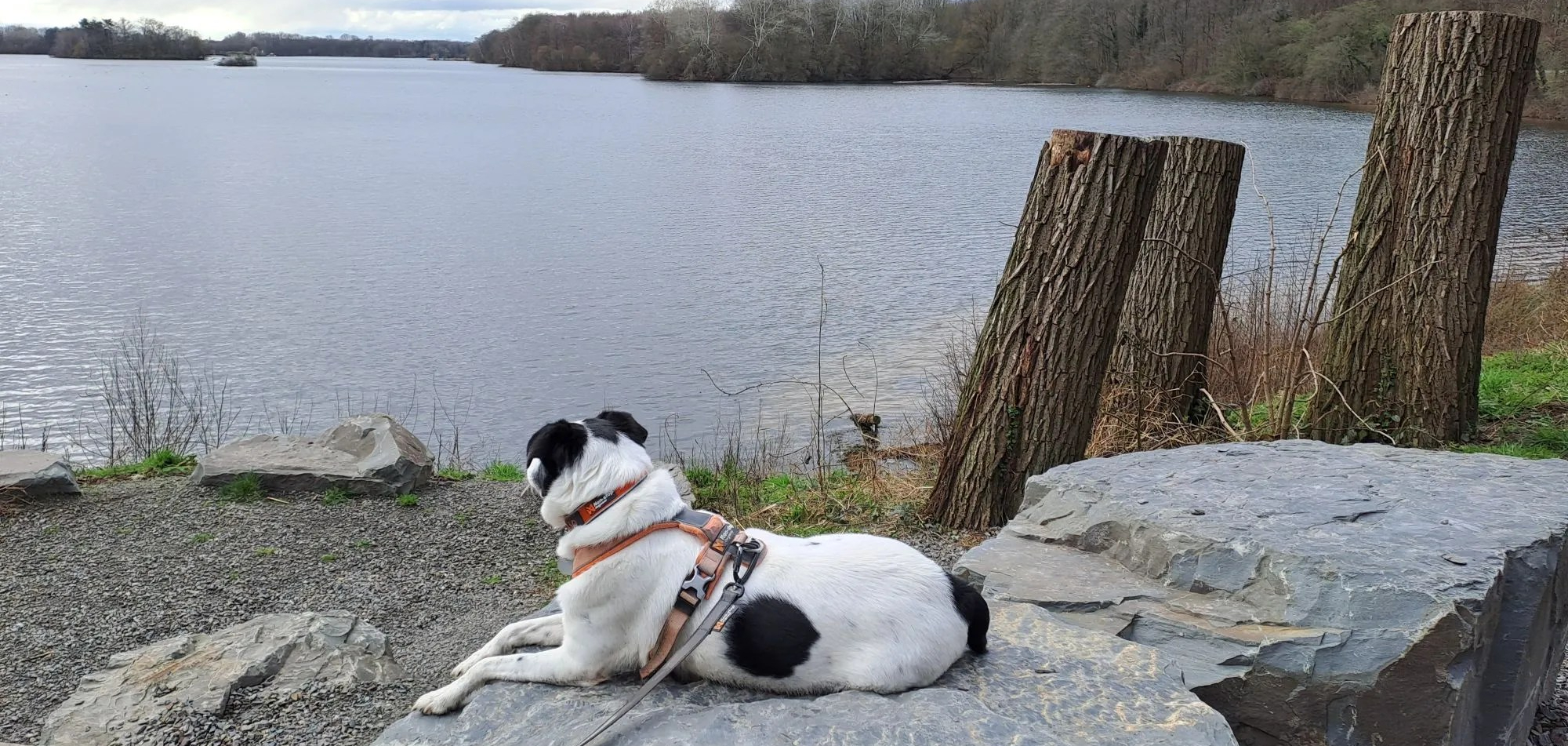 26.06.2026: AFTER WORK SPECIAL: Wanderung um den Unterbacher See, Düsseldorf, 40627 Düsseldorf