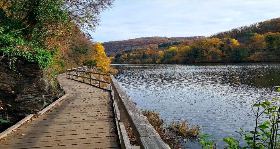 22.05.2026: AFTER WORK SPECIAL:  Umrundung des Heimbacher Staubeckens, 52396 Heimbach