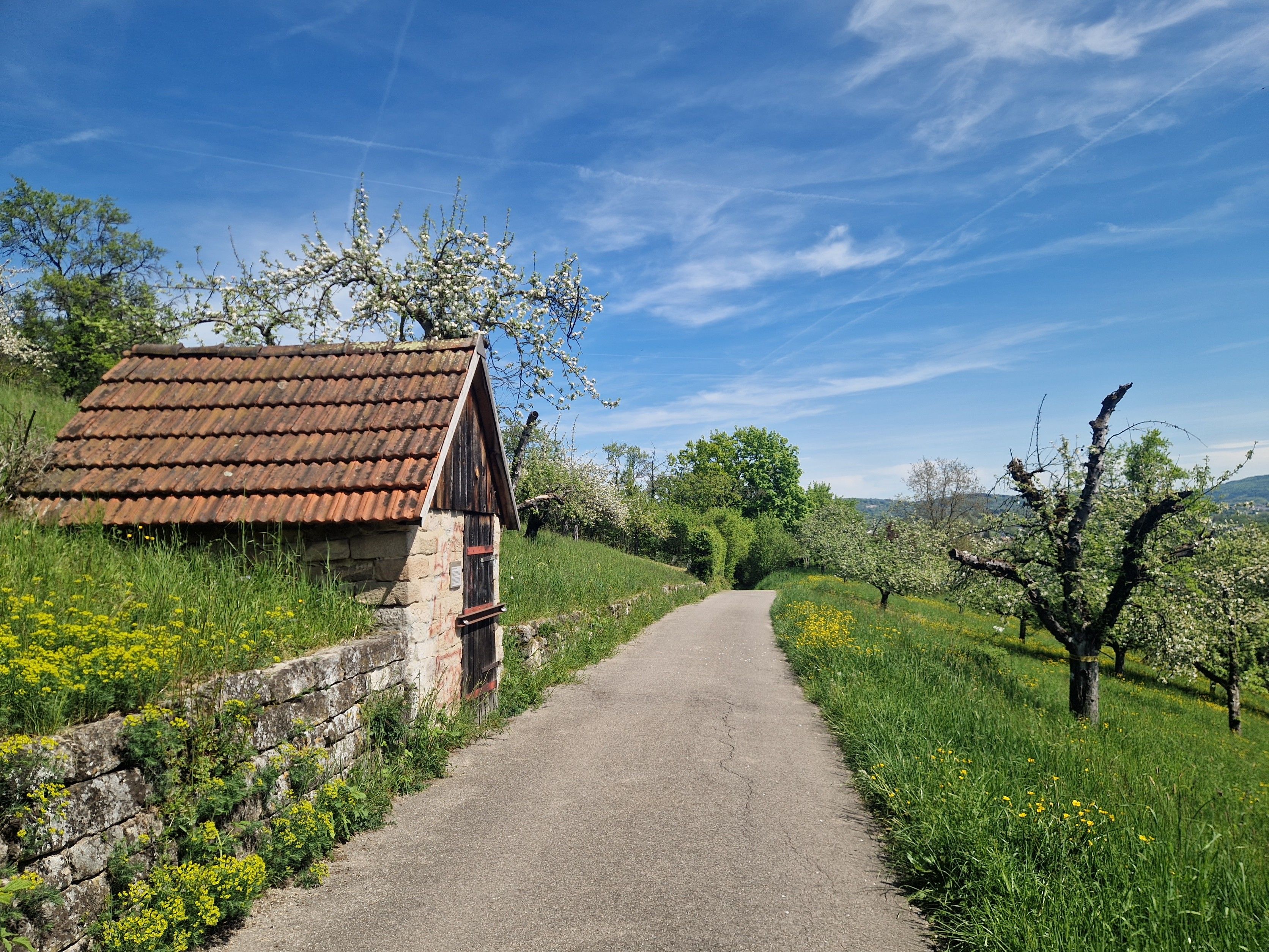 23.08.2026: Altstadtcharme, Grafenberg und entlang der Rems, 73614 Schorndorf