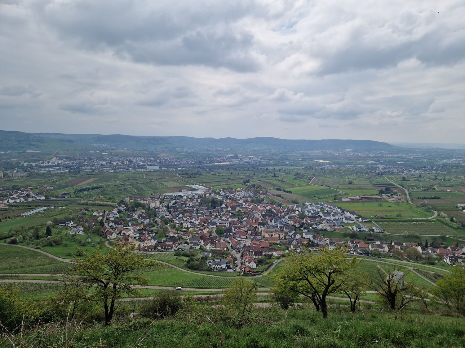 28.06.2026: Kleinheppacher Kopf – Remstalblicke und Weinberggefühle, 71384 Endersbach