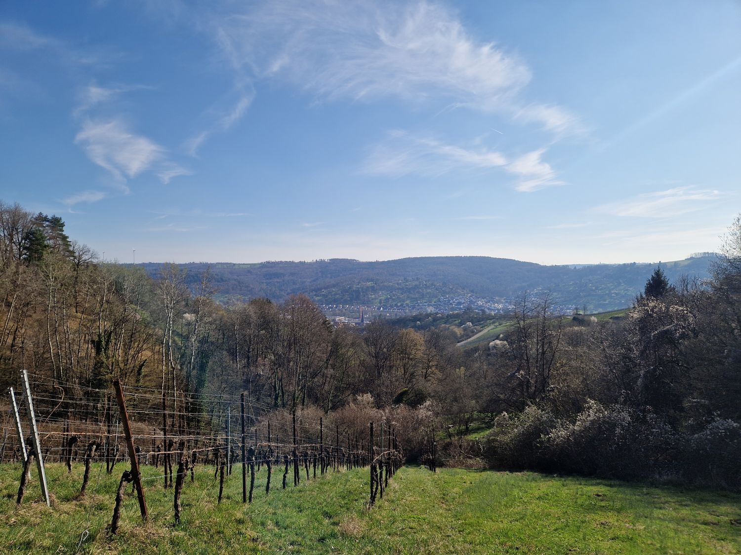 26.07.2026: Über dem Remstal: Wälder, Wiesen, Weinbergblicke, 73663 Berglen
