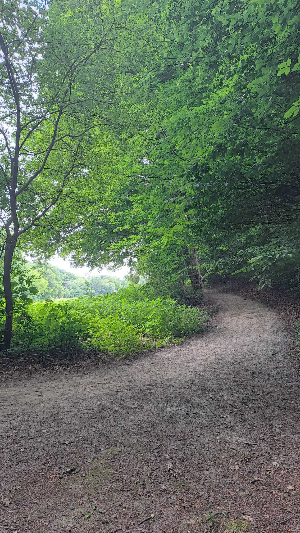 16.08.2026: Wald, Wasser und Schlössertour, 45219 Essen